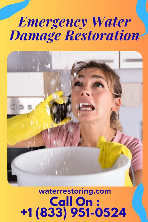 Emergency Water Damage Restoration in Oglethorpe, GA